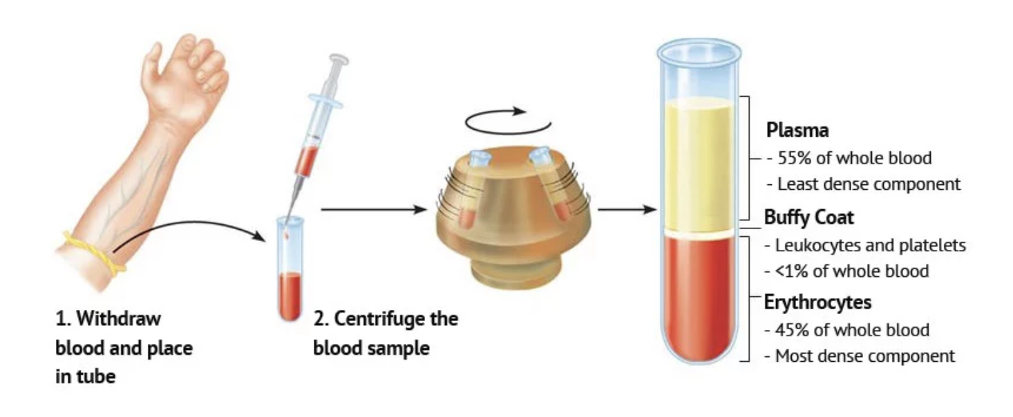 Screenshot 2025-10-22 at 6.40.50 PM